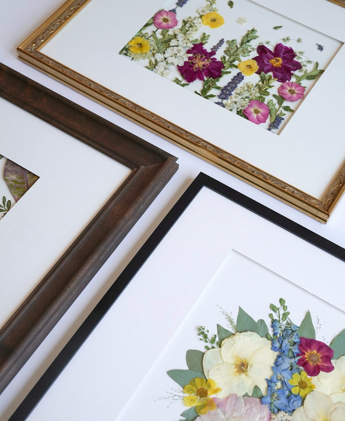 Backing options at Pressed floral available to customize your art piece